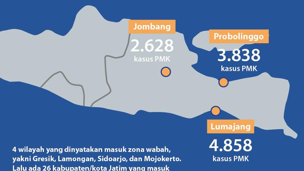 Sebaran Wabah PMK di Lumajang, Probolinggo dan Jombang
