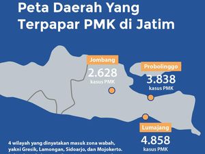 Sebaran Wabah PMK di Lumajang, Probolinggo dan Jombang