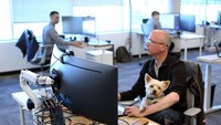 Tungsten Collaborative merupakan salah satu perusahaan di Ottawa yang masuk dalam daftar kantor yang ramah untuk anjing peliharaan berdasarkan Humane Society.