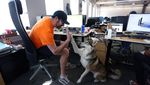 Unik, Karyawan di Kanada Ini Boleh Bawa Hewan Peliharaan ke Kantor