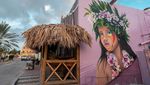 Potret Bonaire Pulau Indah Rumah Flamingo