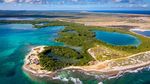 Potret Bonaire Pulau Indah Rumah Flamingo