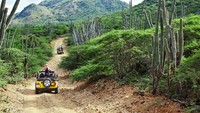 Jumlah wisatawannya pada 2019 hanya 157.800. Menurut statsistika Belanda, sekitar 25% di antaranya merupakan orang Amerika.(Bonaire Bond)