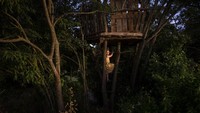 Tak hanya petak umpet, mereka juga terlihat asyik bermain di sebuah rumah pohon.