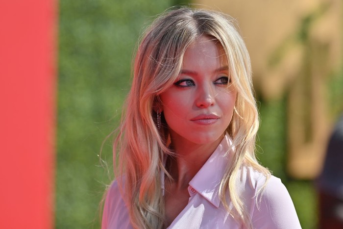 Sydney Sweeney SANTA MONICA, CALIFORNIA - JUNE 05: Sydney Sweeney attends the 2022 MTV Movie & TV Awards at Barker Hangar on June 05, 2022 in Santa Monica, California. (Photo by Axelle/Bauer-Griffin/FilmMagic)