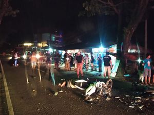 Motor Adu Banteng di Tana Toraja, 2 Orang Tewas-2 Kritis