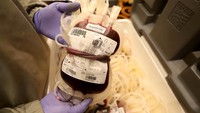 Guna mengatasi hal tersebut melalui momen HUT PT. Asuransi Umum Mega dilakukan kegiatan donor darah diikuti oleh Karyawan PT. Asuransi Umum Mega dan ekosistem CT Corpora.