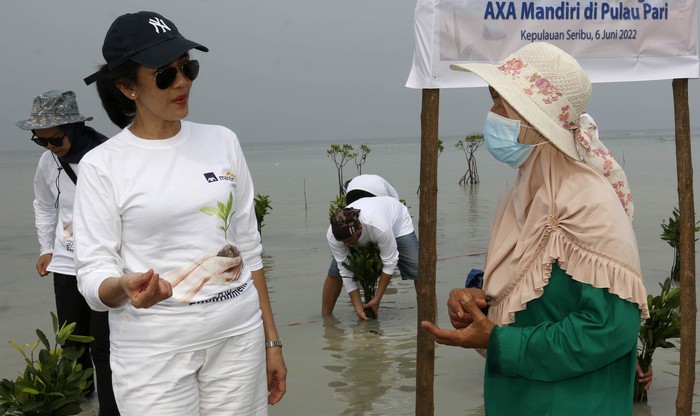 Aksi tanam Mangrove di pulau Pari