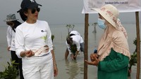 Chief Communications Officer PT AXA Mandiri Financial Services (AXA Mandiri) Atria Rai berbincang dengan petani bibit bakau Asmaniah disela penanaman 2.100 bibit pohon bakau di Pulau Pari, Kepulauan Seribu, Senin (6/6). 