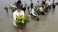Kegiatan ini adalah bagian dari kampanye Emma for Environment dimana setiap nasabah yang mengaktifkan akun Emma yaitu layanan asuransi dan kesehatan digital menyeluruh bagi nasabah, selama periode 1 April hingga 31 Mei 2022, maka AXA Mandiri dan PT AXA Mandiri General Insurace (MAGI) akan menanamkan satu bibit pohon bakau guna melindungi lingkungan dan mitigasi dampak perubahan iklim.