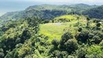 Bukit Paralayang Ciletuh yang Agung, Pengelolaannya Ramah