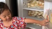 Kulkas yang dimaksud adalah kulkas satu pintu khusus si kecil Thania Putri Onsu. Dikarenakan kulkas tersebut berisikan ASI. Foto: YouTube The Onsu Family, MOP Channel
