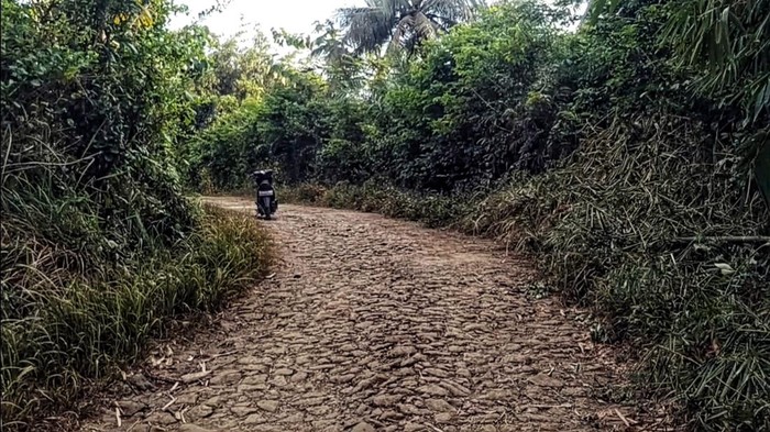 Lokasi jalan yang dilintasi warga yang melihat penampakan diduga harimau jawa di Surade