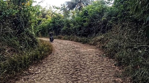 Lokasi jalan yang dilintasi warga yang melihat penampakan diduga harimau jawa di Surade