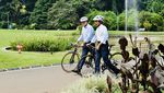 Momen Jokowi dan PM Australia Gowes Bareng dengan Sepeda Bambu