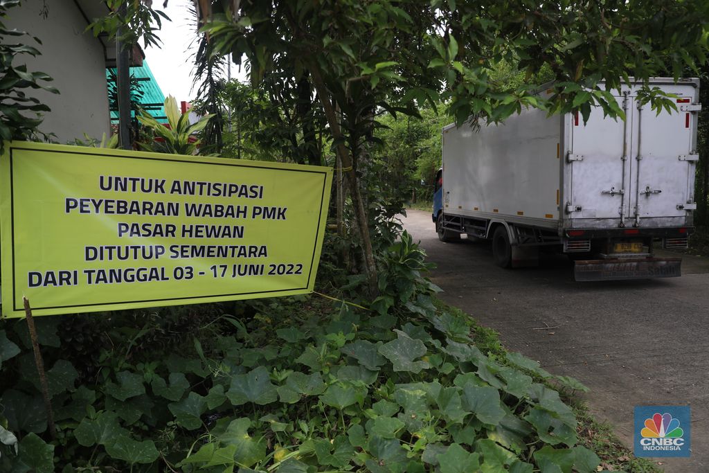 Petugas menyemprotkan cairan desinfektan untuk mencegah penyebaran penyakit mulut dan kuku pada hewan di Kandang Sapi UPTD Rumah Potong Hewan Bubulak, Bogor, Jawa Barat, Selasa, 7 Juni 2022. (CNBC Indonesia/Muhammad Sabki)
