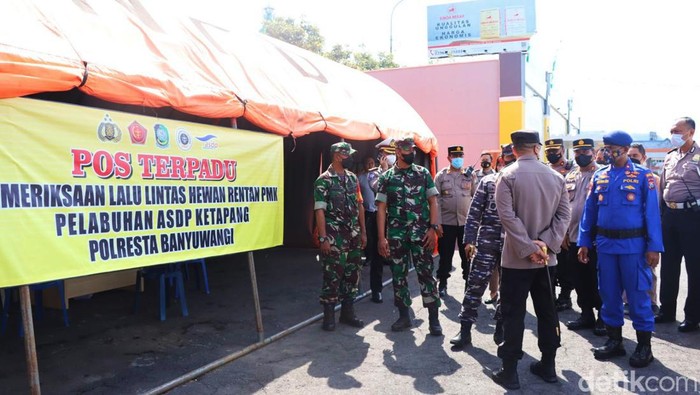 pmk di banyuwangi