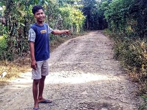Kesaksian Warga Melihat Harimau di Hutan Surade hingga Jadi Heboh