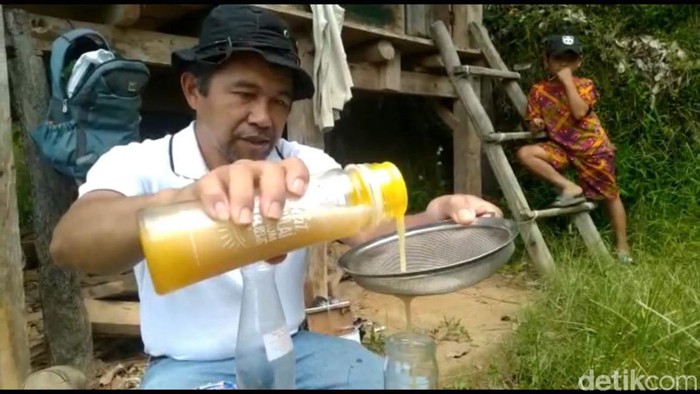 Seorang pria bernama Markus (50), warga Kabupaten Mamasa, Sulawesi Barat (Sulbar) sukses membudidayakan lebah trigona untuk dijual madunya. Usaha yang awalnya digeluti untuk mengisi waktu luang di masa pandemi COVID-19 itu kini berbuah manis dengan meraup jutaan rupiah setiap bulan.