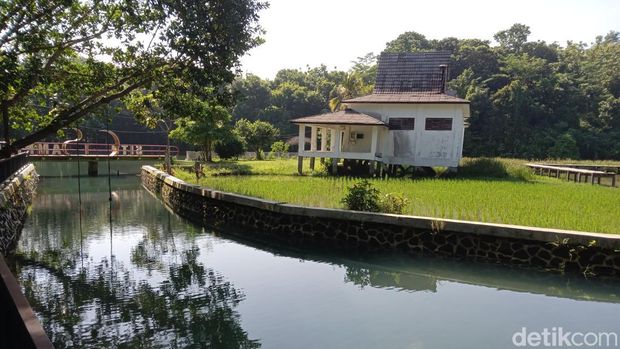 Situ Cisamping di Pangandaran.