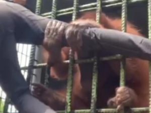 Pria di Video Ga Bisa Jauh dari Ayank Minta Maaf dan Takkan Ulangi