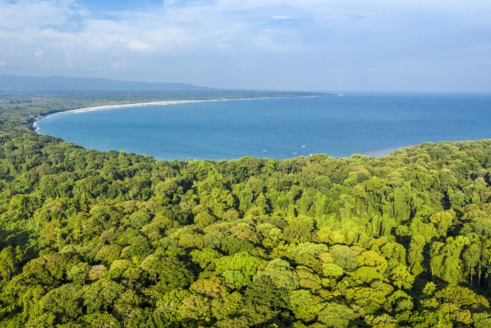 Taman Nasional Ujung Kulon ditetapkan sebagai Situs Warisan Alam Dunia Oleh UNESCO tahun 1992. Tempat ini terkenal sebagai rumah bagi beberapa hewan langka.