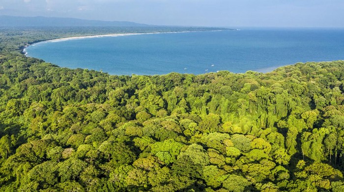 Taman Nasional Ujung Kulon ditetapkan sebagai Situs Warisan Alam Dunia Oleh UNESCO tahun 1992. Tempat ini terkenal sebagai rumah bagi beberapa hewan langka.