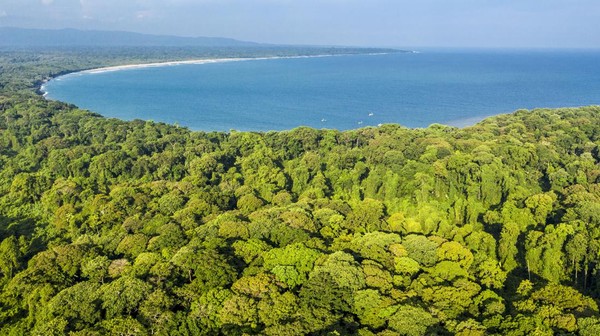 TNUK merupakan salah satu Taman Nasional di Indonesia yang telah ditetapkan sebagai Situs Warisan Alam Dunia oleh UNESCO pada tahun 1992 dan merupakan perwakilan ekosistem hutan hujan tropis dataran rendah yang tersisa dan terluas di Jawa bagian barat. Â TNUK merupakan salah satu Taman Nasional di Indonesia yang telah ditetapkan sebagai Situs Warisan Alam Dunia oleh UNESCO pada tahun 1992 dan merupakan perwakilan ekosistem hutan hujan tropis dataran rendah yang tersisa dan terluas di Jawa bagian barat. Â