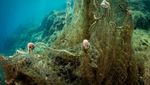 Wow! Penampakan Jaring Hantu di Dasar Laut Yunani