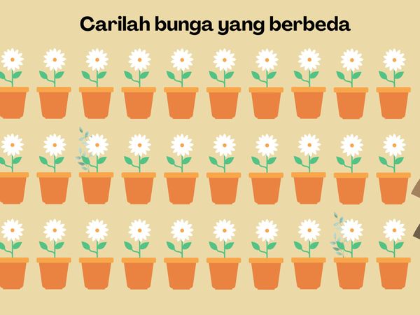 Uji Kejelian Mata Kamu, Coba Temukan Perbedaan di Tebak-tebakan Ini!