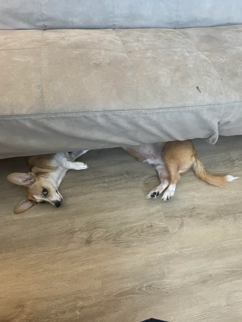 Deretan foto menjebak mata