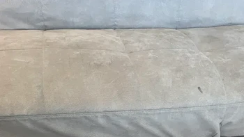 Badan anjing ini ebgitu panjang. Foto: reddit.com/confusing_perspective