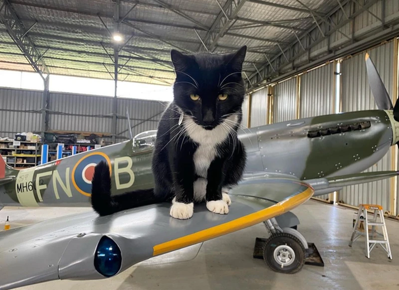 Deretan foto menjebak mata