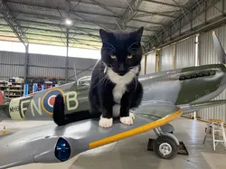 Awas Gambar Ini Menjebak, Bisa Bikin Mata Tertipu