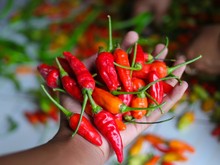 Disukai Warga +62, Makanan Ini Berisiko Picu Kanker Lambung dan Usus