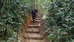 Jutaan Kupu-kupu Menari di Lembah Yunnan China, Seru Minta Ampun