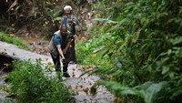 Dari Mei hingga Juni setiap tahun, ledakan kupu-kupu yang spektakuler muncul di lembah saat ulat keluar dari kepompong dalam waktu singkat.   