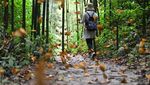 Jutaan Kupu-kupu Menari di Lembah Yunnan China, Seru Minta Ampun