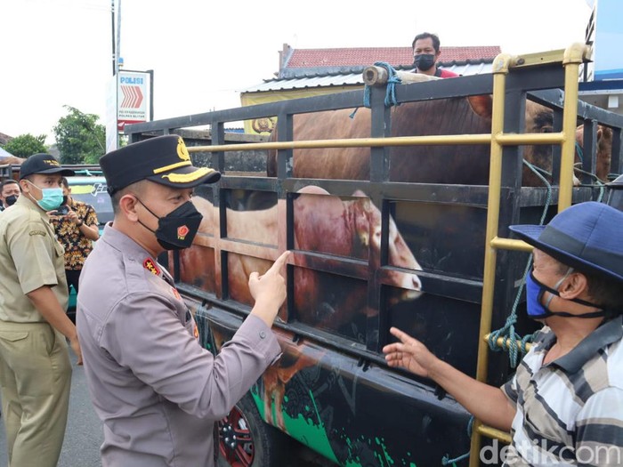 Kapolres Blitar AKBP Adhitya mengecek mobilitas ternak