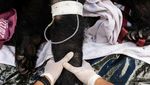 Kebun Binatang Phuket Tutup Gegara Pandemi, Harimau-Beruang Dievakuasi