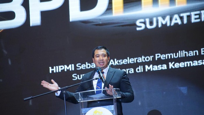Ketua Umum BPD HIPMI Sumut Ade Jona Prasetyo