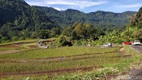 Namun pemandangan sepanjang jalan sungguh indah, lelah terbayar.