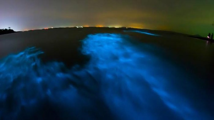 Misteri Lautan yang Belum Terungkap Misteri Lautan yang Belum Terungkap