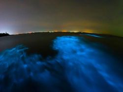 8 Misteri dari Lautan yang Bikin Ilmuwan Penasaran