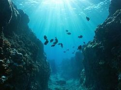 8 Misteri dari Lautan yang Bikin Ilmuwan Penasaran