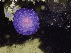 8 Misteri dari Lautan yang Bikin Ilmuwan Penasaran