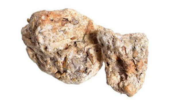 Muntahan Paus Sperma, Ambergris sangat langka di dunia. (Dok: iStockphoto/spline_x)