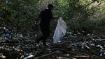 Nelayan Brasil Memulung Sampah di Laut Gegara Pasokan Ikan Menurun