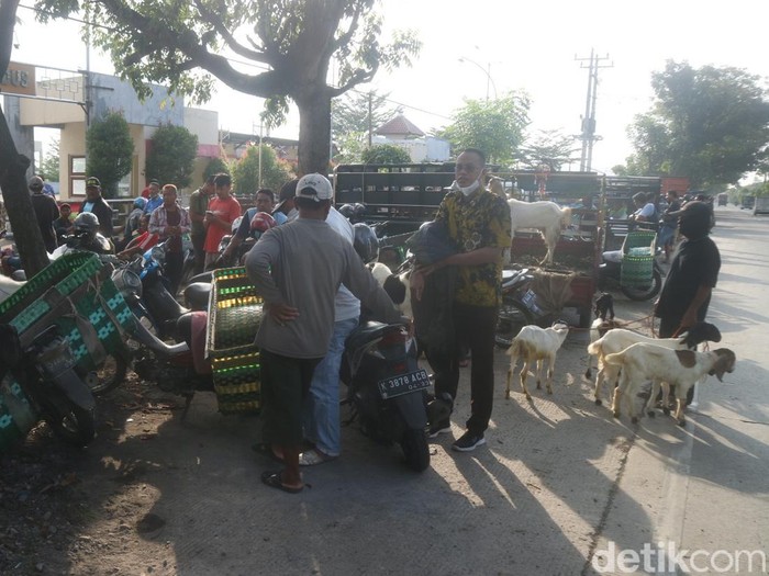 Pedagang nekat berjualan di depan Pasar Hewan Kabupaten Kudus, Rabu (8/6/2022).