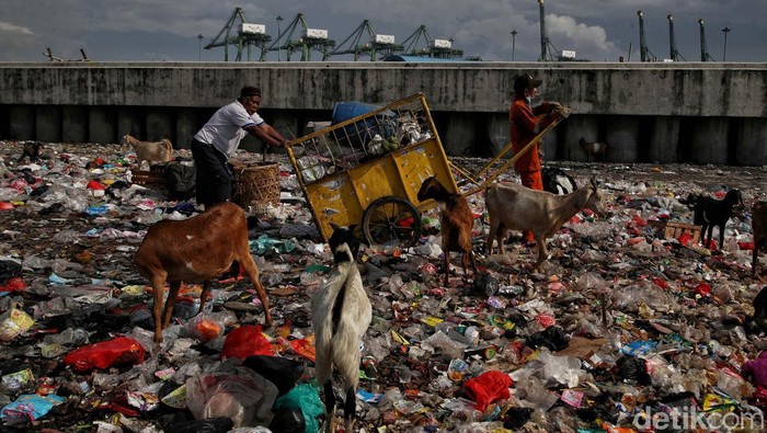 Tumpukan sampah terlihat di kampung nelayan yang berdekatan dengan tanggul laut di Cilincing, Jakut. Seperti apa penampakannya? Ini fotonya.
